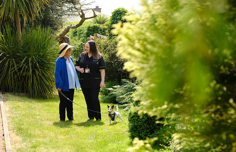 Companionship Care in Spring